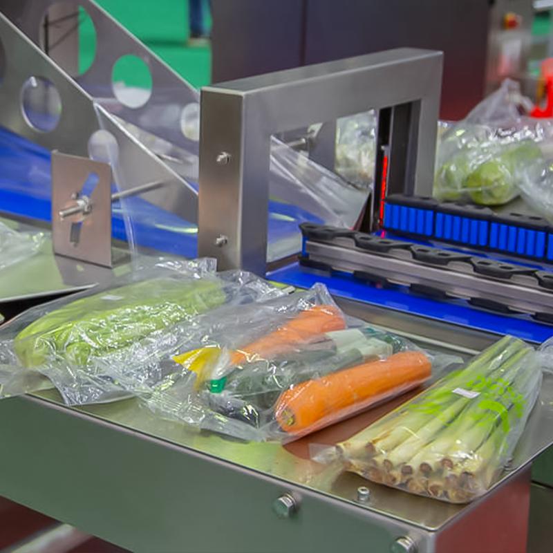 máquina envasadora de alimentos 2